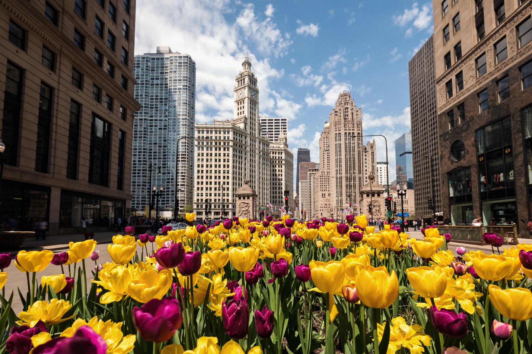 flowers on magnificent mile in Chicago